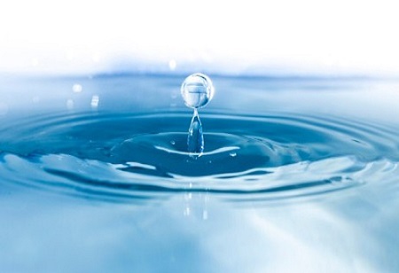 Industry Outlook Team